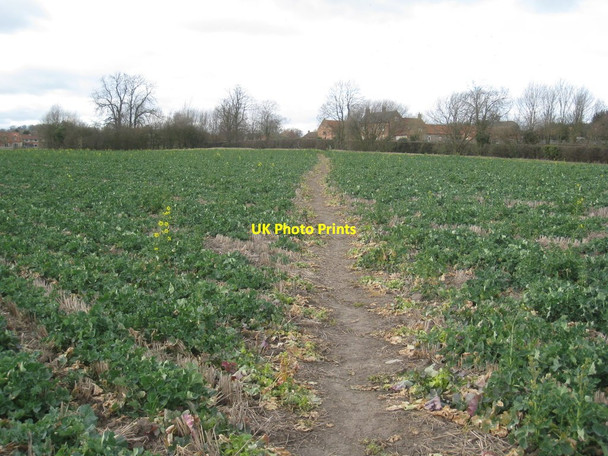 Photo 6"x4" Footpath to Syerston Elston\/SK7548 c2012