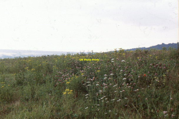 Photo 6"x4" Downland at Kit's Coty House Eccles\/TQ7360 c1998