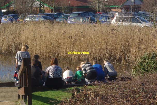 Photo 6"x4" Brocks Hill Country Park Wigston c2012