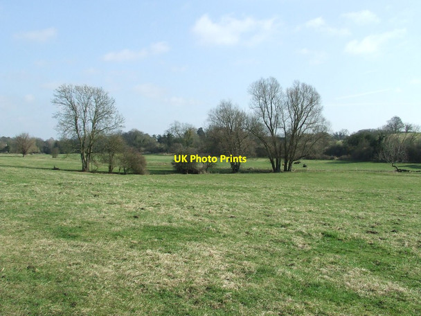 Photo 6"x4" Grazing Land Playford c2012