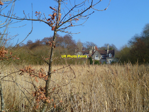 Photo 6"x4" Hamble Cliff Stables seen across field Butlocks Heath c2012