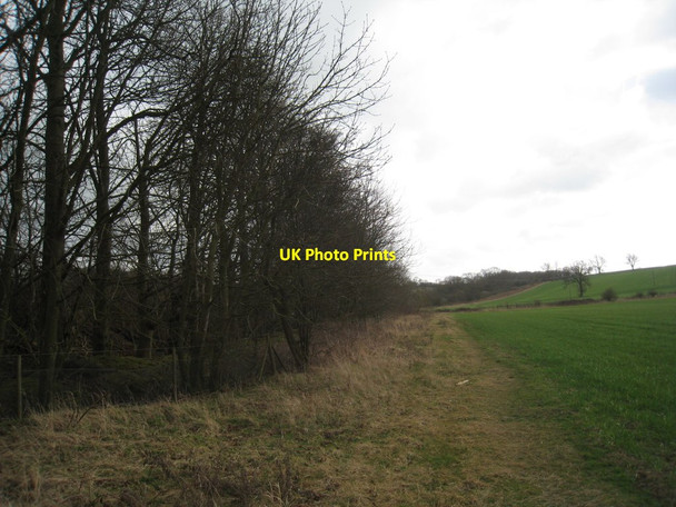 Photo 6"x4" Alongside the railway Old Dalby c2012