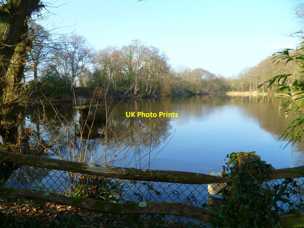 Photo 6"x4" Lake north of Hound Bursledon c2012