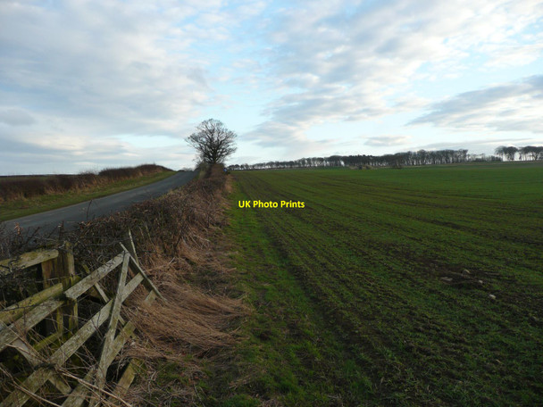 Photo 6"x4" Arable fields  Broxfield c2012