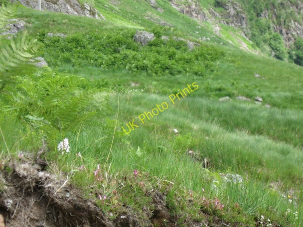 Photo 6"x4" Hillside, crags & orchid Dalness\/NN1651 c2008