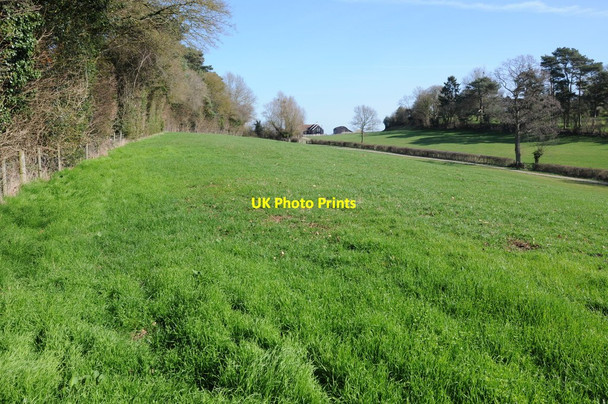 Photo 6"x4" Footpath approaching Noverings Farm Bosbury c2012