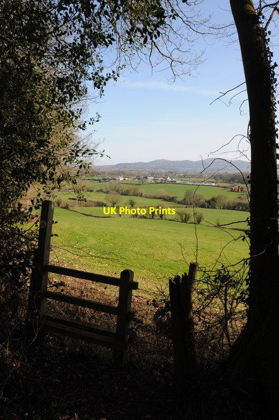 Photo 6"x4" Beacon Hill Farm Fox Hill\/SO6845 c2012
