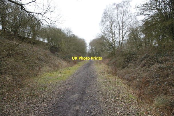 Photo 6"x4" Along to Pinewood Hermitage\/SU5173 c2012