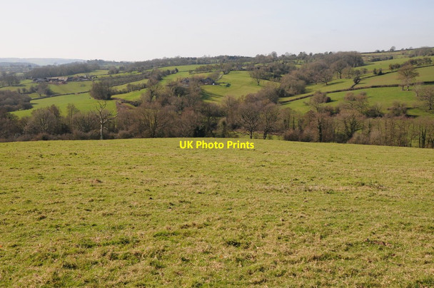 Photo 6"x4" The Leadon Valley Fox Hill\/SO6845 c2012