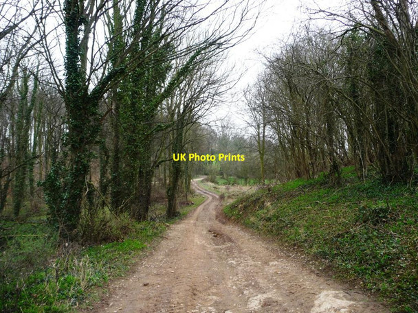 Photo 6"x4" Woodland footpath and farm track Ledsham\/SE4529 c2012
