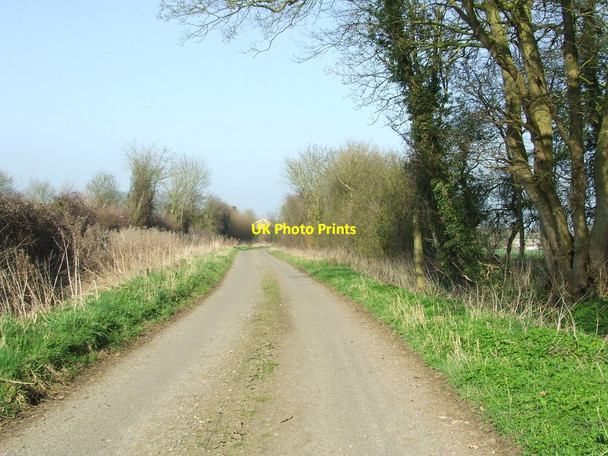 Photo 6"x4" Matthews Lane Great Bradley\/TL6653 c2012
