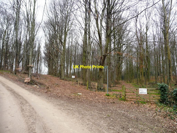 Photo 6"x4" Straight on for the public footpath to Ledston Lodge Ledsham\/SE4529 c2012