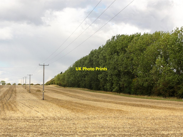 Photo 6"x4" Powerlines, Stubble and Trees Rippingale c2011