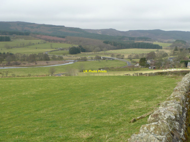 Photo 6"x4" Pasture in Coquetdale Sharperton c2012