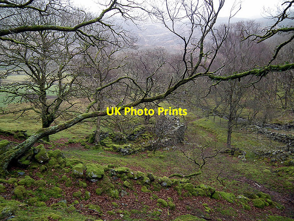 Photo 6"x4" Woods and ruined buildings above Cwm-bychan Llyn Cwm Bychan c2012