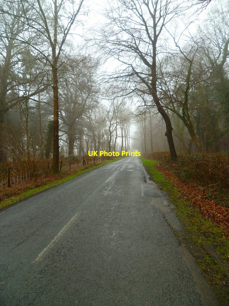 Photo 6"x4" Road through Stansted forest looking north Forestside c2012
