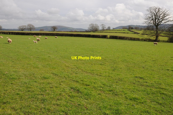 Photo 6"x4" Field near Pool Farm Rowlestone c2012