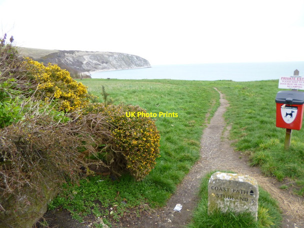 Photo 6"x4" New Swanage, marker Swanage c2012