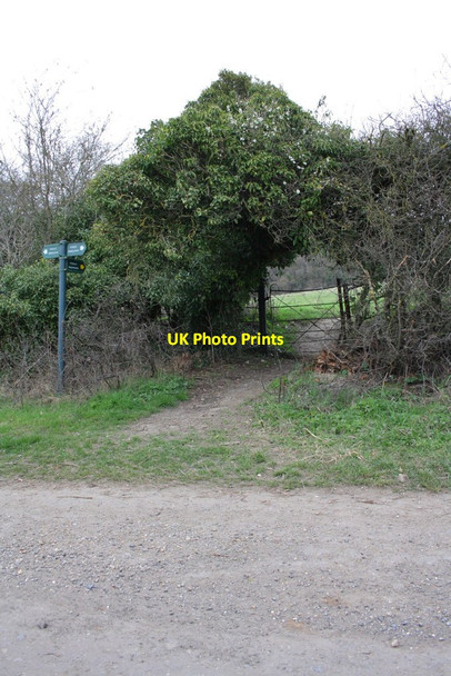 Photo 6"x4" Ivy archway over public footpath Little Heath\/SU6573 c2012
