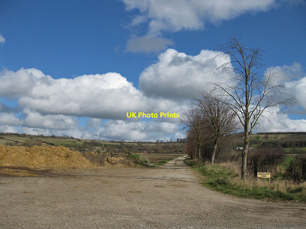 Photo 6"x4" Track to Crosscliffe Farm Scagglethorpe c2012