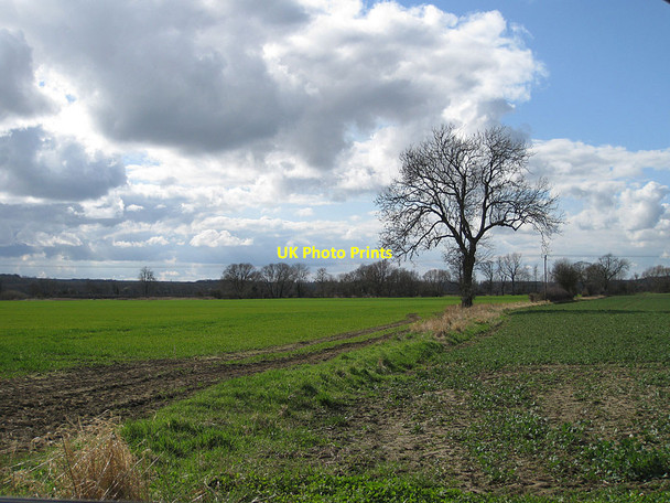 Photo 6"x4" The Holms Scagglethorpe c2012
