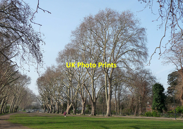 Photo 6"x4" Planes, Bishop's Park Fulham c2012