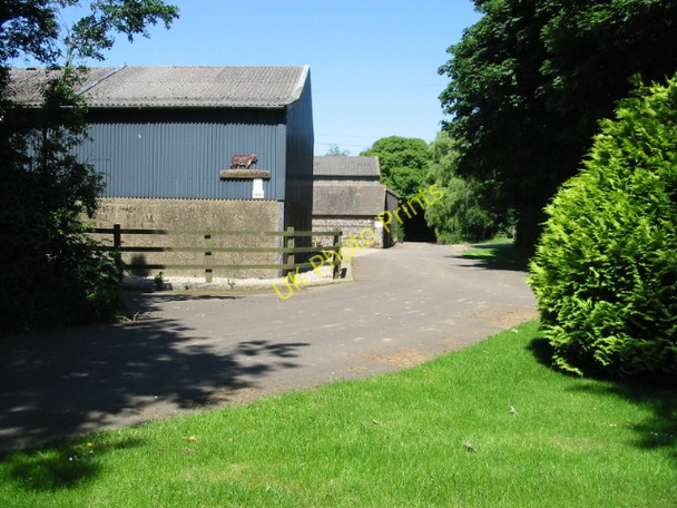 Photo 6"x4" Looking NE along footpath through Blandred Farm Ridge Row c2008