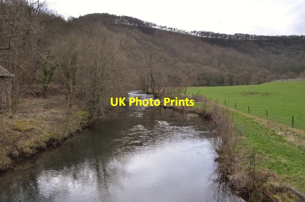 Photo 6"x4" River Wye Ashford in the Water c2012