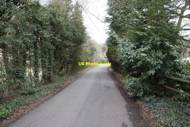 Photo 6"x4" Towards the Halt entrance Hermitage\/SU5173 c2012