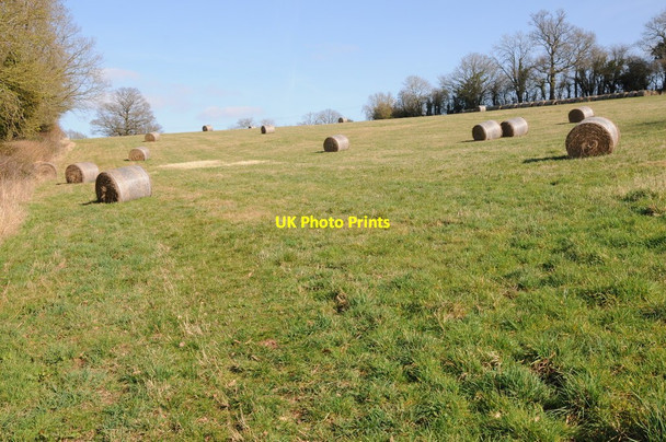 Photo 6"x4" Hay bales in a field Halmond's Frome c2012