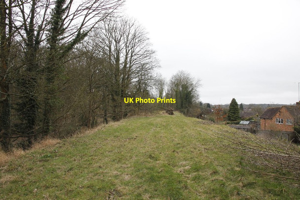 Photo 6"x4" Along the embankment Hermitage\/SU5173 c2012