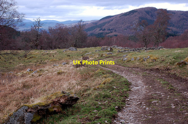 Photo 6"x4" Braan Path near Tomgarrow Inver\/NO0142 c2012