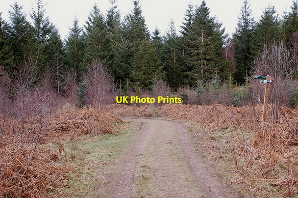 Photo 6"x4" Track junction near Dundonnachie Inver\/NO0142 c2012