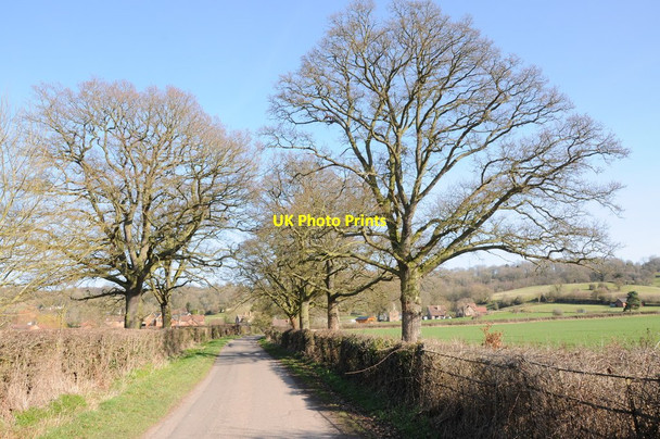Photo 6"x4" Road near Cheyney Court Bishops Frome c2012