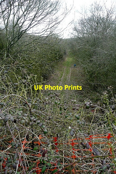 Photo 6"x4" Towards Ashendon Junction Upper Pollicott c2012