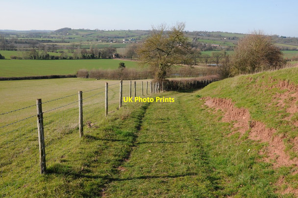 Photo 6"x4" Herefordshire Trail above the Frome valley Halmond's Frome c2012