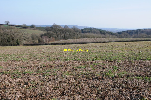 Photo 6"x4" Arable land near Fromes Hill Frome c2012