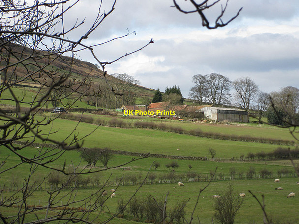 Photo 6"x4" Pastures below Ridge House Low Mill\/SE6795 c2012