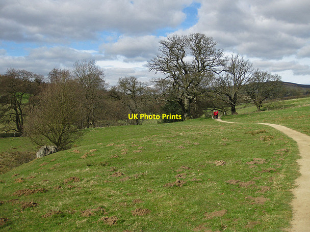 Photo 6"x4" Walkers in Farndale Low Mill\/SE6795 c2012