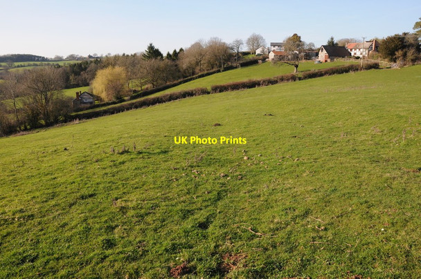 Photo 6"x4" Fox Hill Fox Hill\/SO6845 c2012