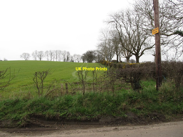 Photo 6"x4" Cultivated grassland on Butter Hill Milltown\/J1436 c2012