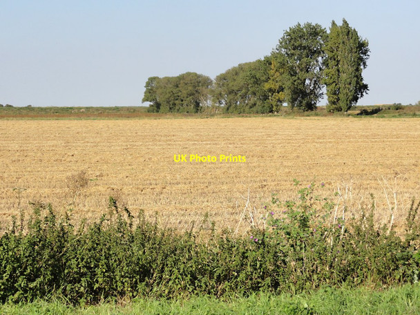 Photo 6"x4" Farmland near South Fen Road Twenty\/TF1520 c2011