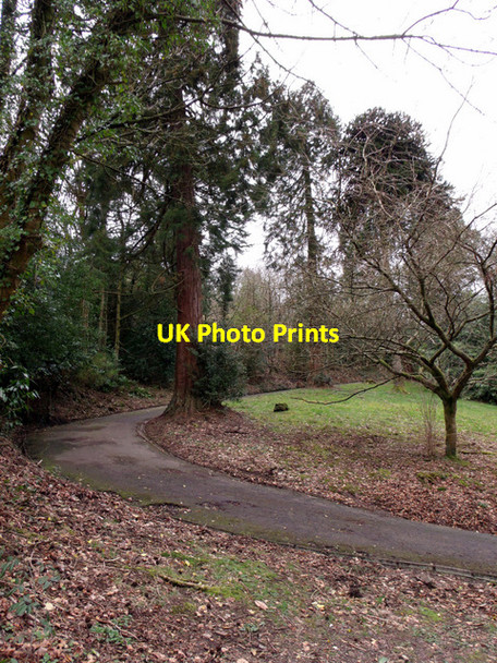 Photo 6"x4" Road in Birkmyre Park Port Glasgow c2012