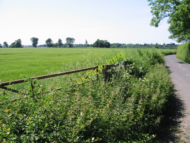 Photo 6"x4" View across a field of barley from Reece Lane Ridge Row c2008