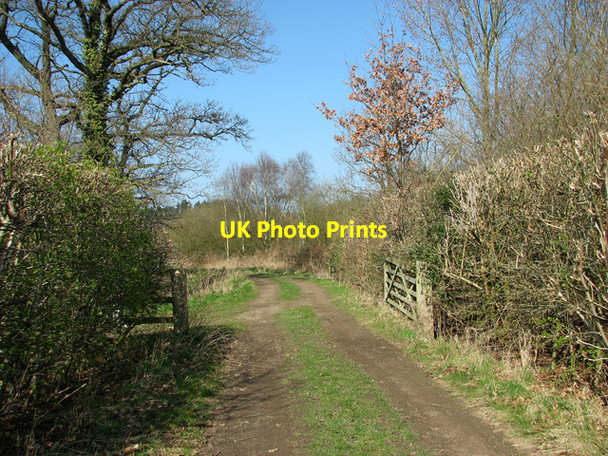 Photo 6"x4" Footpath to Catfield Sharp Street c2012