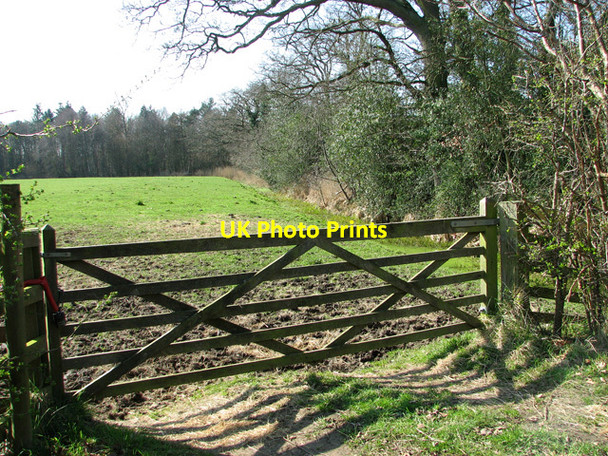 Photo 6"x4" Gate into cattle pasture, Catfield Sharp Street c2012
