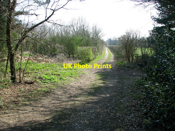 Photo 6"x4" Footpath west of All Saints church, Catfield Catfield c2012