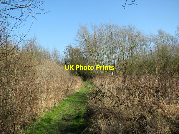 Photo 6"x4" Path to All Saints church, Catfield Catfield c2012