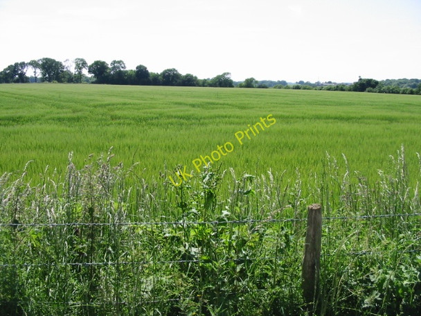 Photo 6"x4" Looking S from Reece Lane Selsted c2008