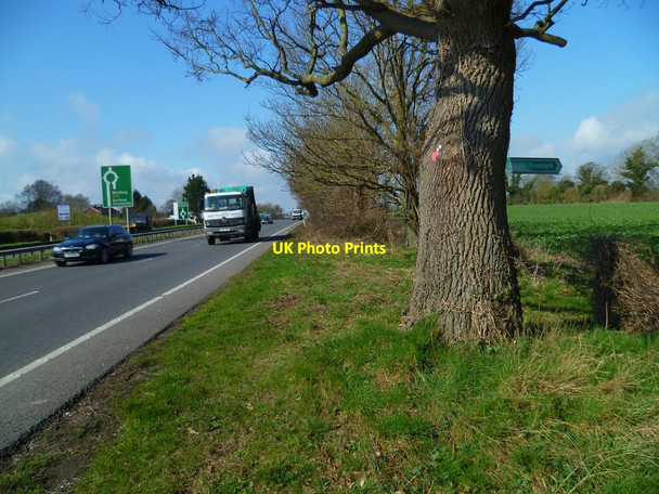 Photo 6"x4" Public footpath goes north off the A27 dual carriageway Boxgrove c2012